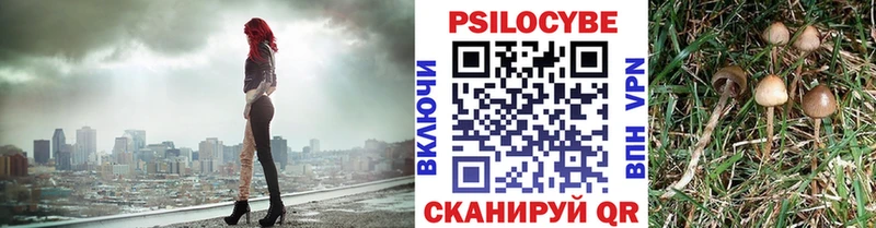 Псилоцибиновые грибы Magic Shrooms  площадка Telegram  Белоярский 